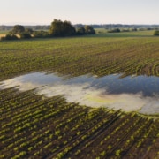 Cómo afecta la erosión hídrica a la calidad del suelo agrícola