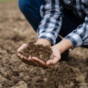 Cuál es la práctica más frecuente de conservación del suelo